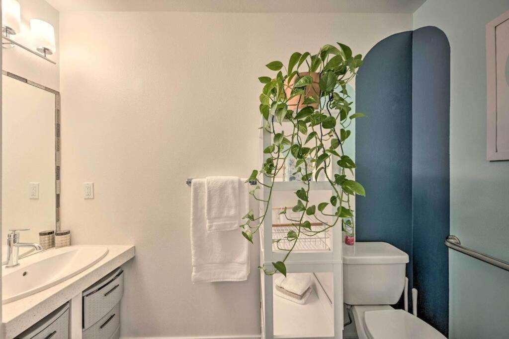 Stylish Ballard Studio 15 Mins From Space Needle 西雅图 外观 照片